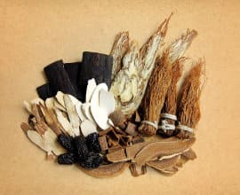 therapies western herbal