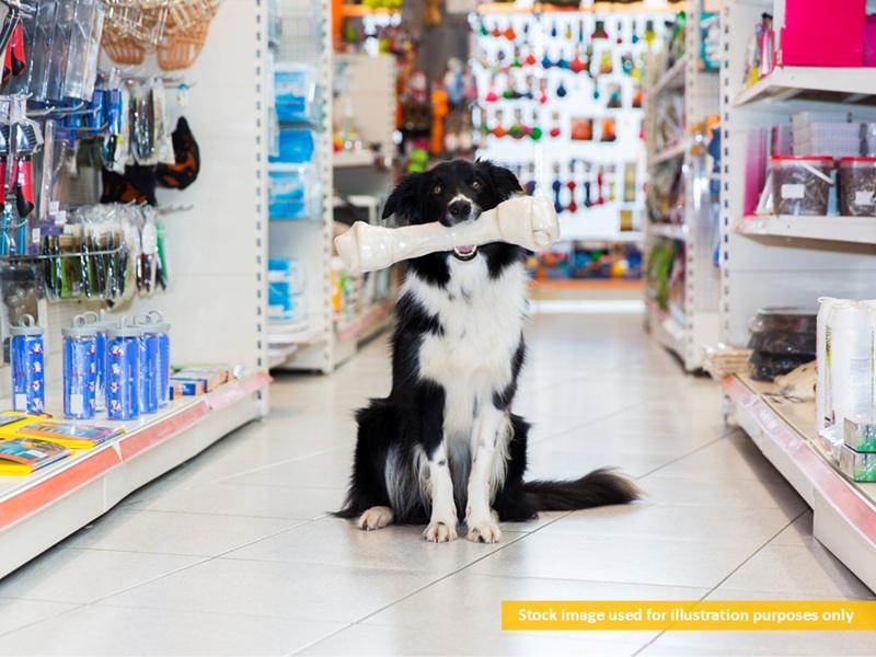 Easy-to-run pet accessories store