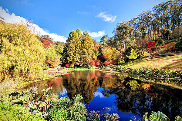 Mt Lofty Botanic Gardens