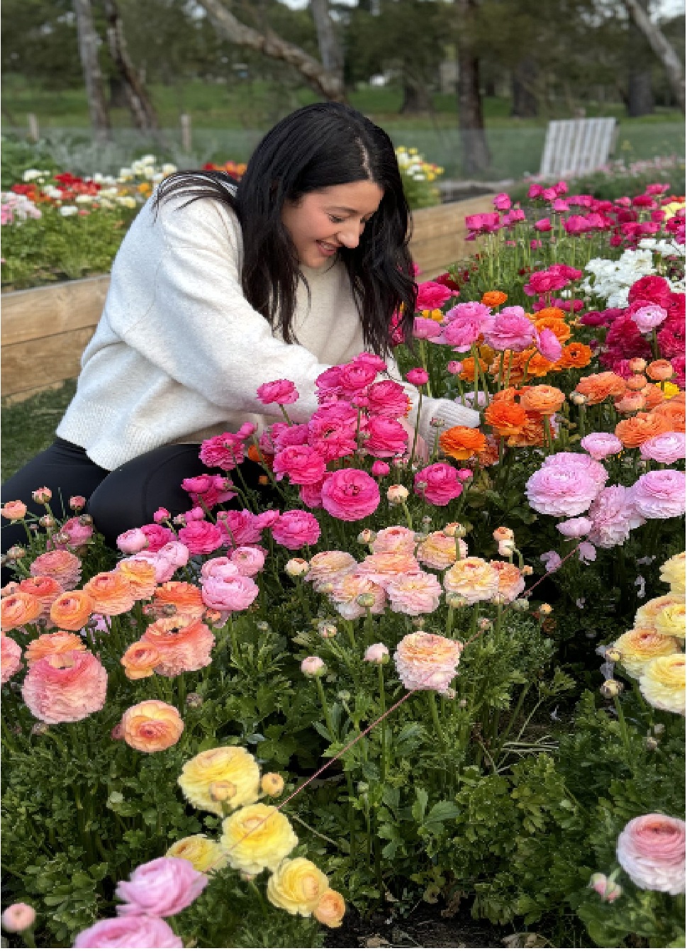 Hahndorf Flower Farm