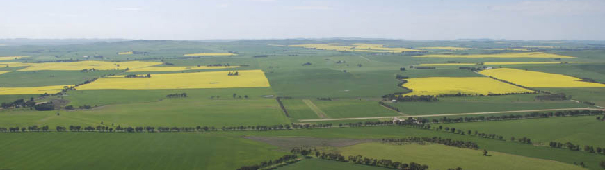 Clare Valley Flying Group 07 Banner