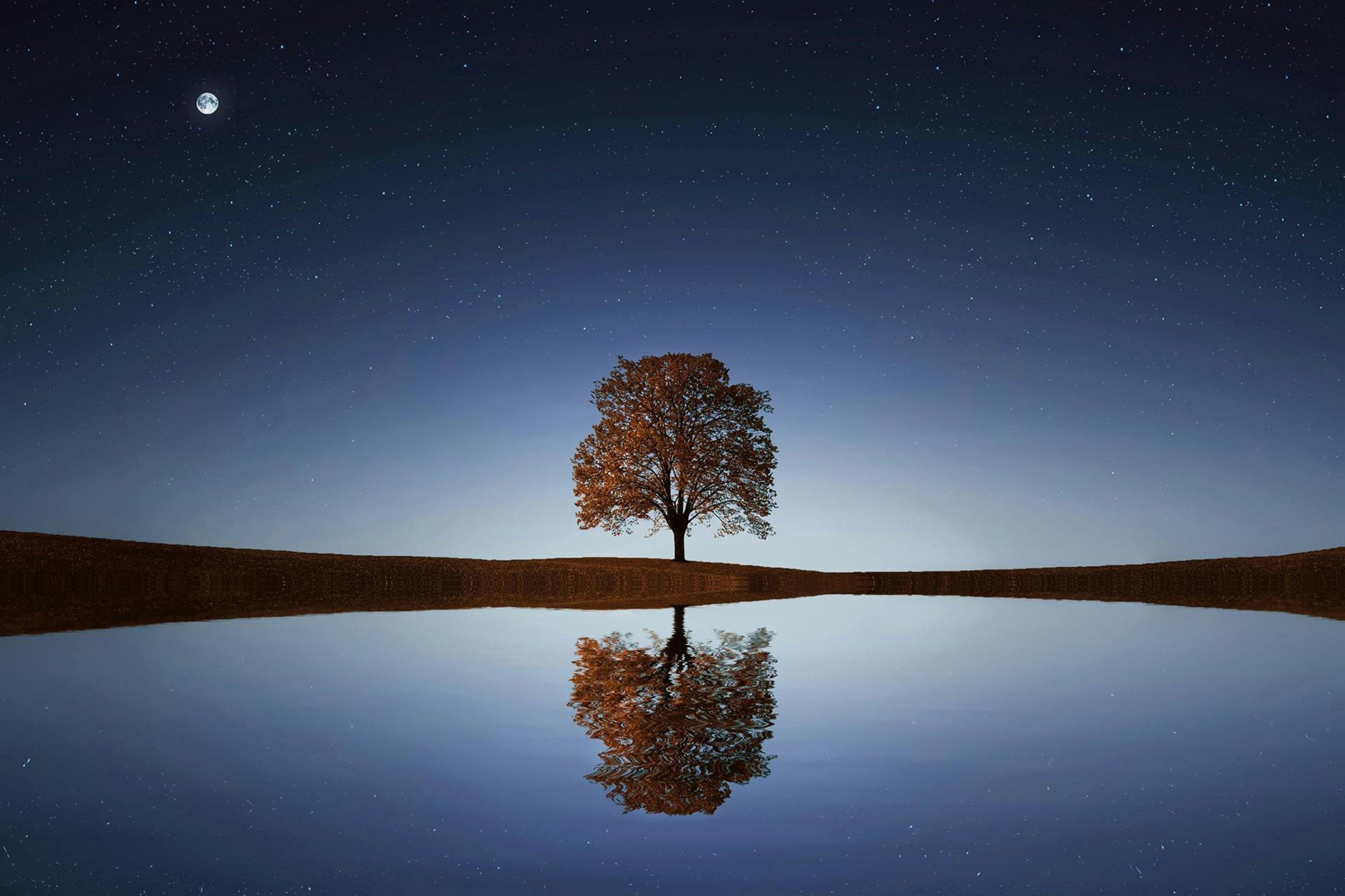 Our world needs more self-compassion