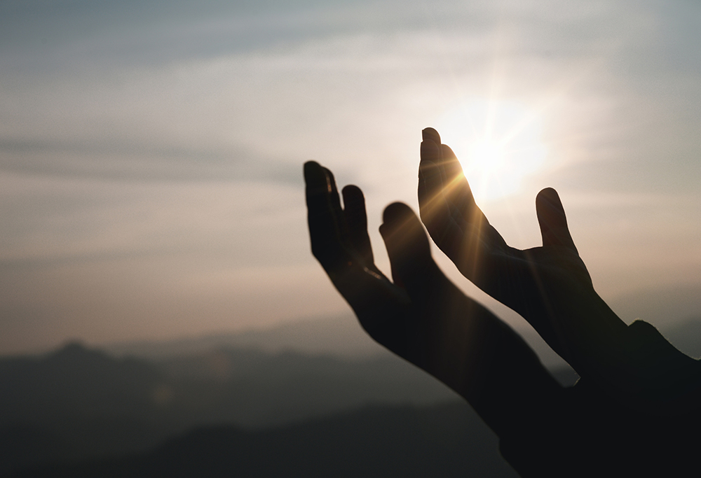 Lifted Up: Finding Hope in the Psalms