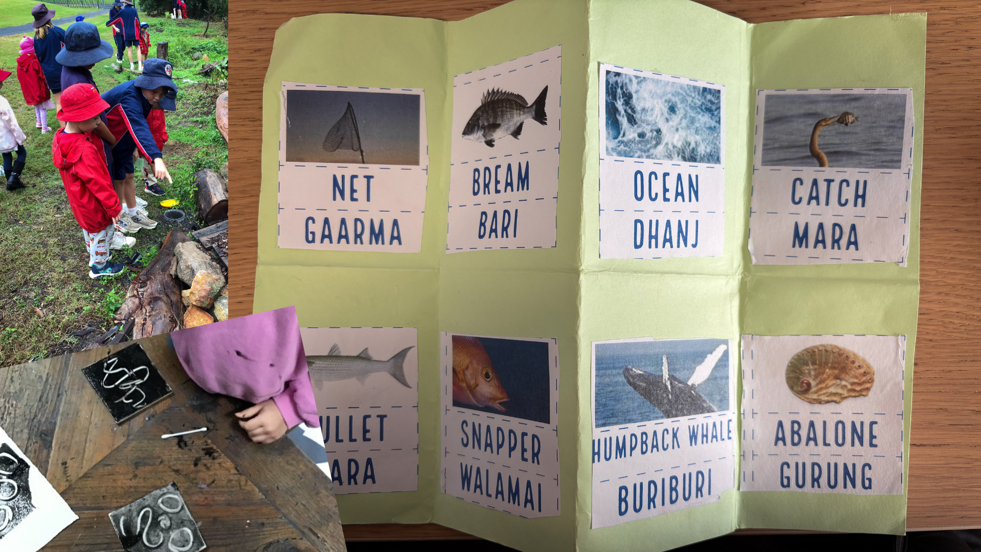  Learning Together through Dharawal Language: Capable, Competent and Connected