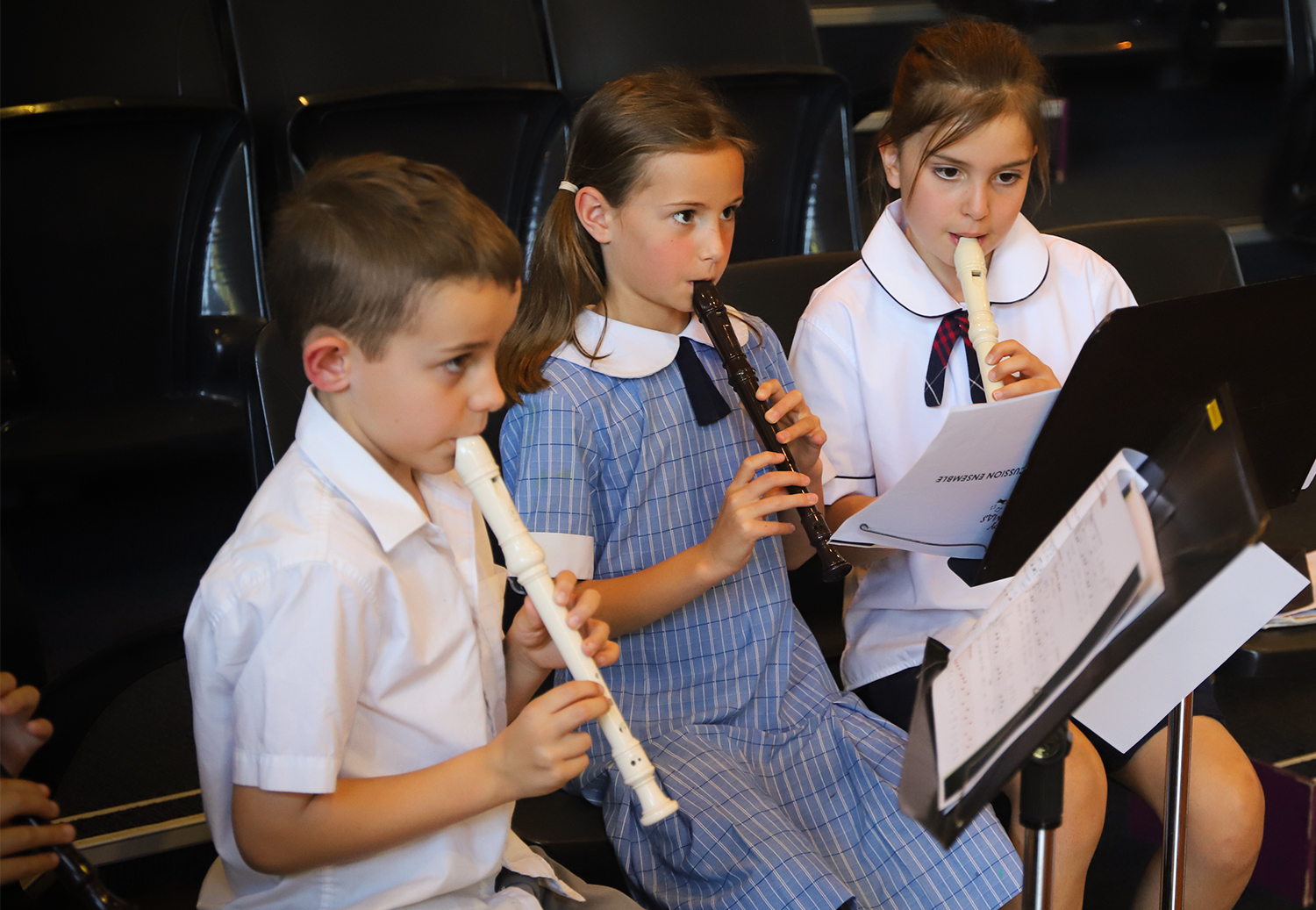 Harmonising Minds: The Impact of Music Education in Stage 2
