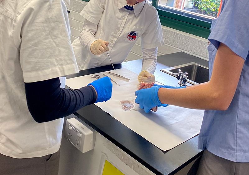 Triumphs of National Science Week 2023