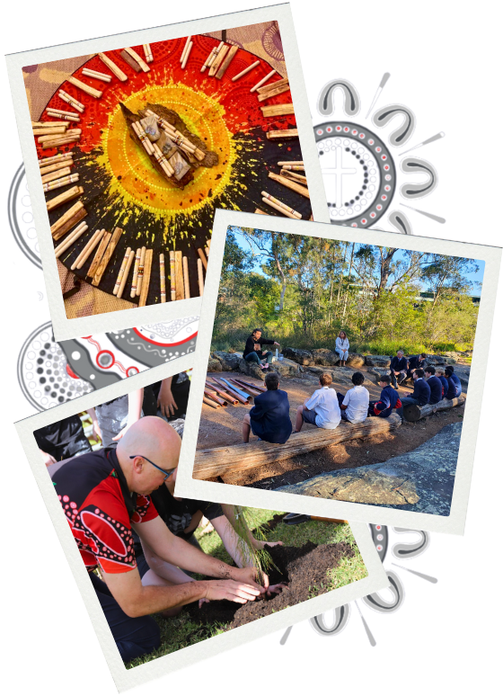 Shoalhaven Schools