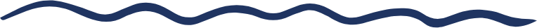 Shoalhaven Schools