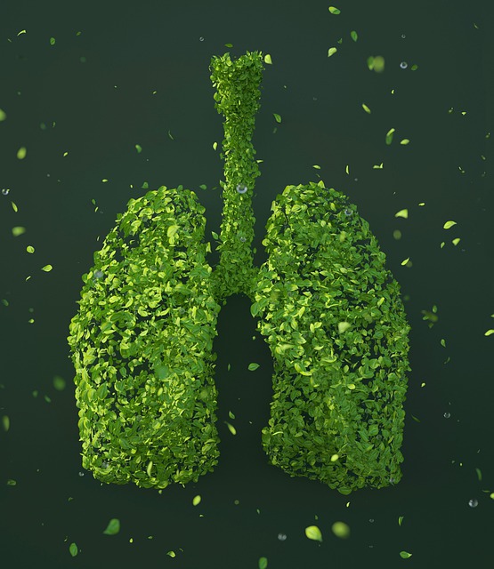 Green leafy lungs