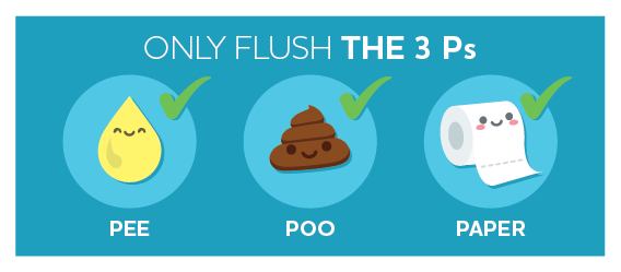 diagram with only flush the 3 ps, pee,poo,paper