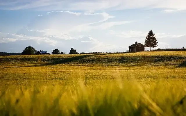 country house with large block of land