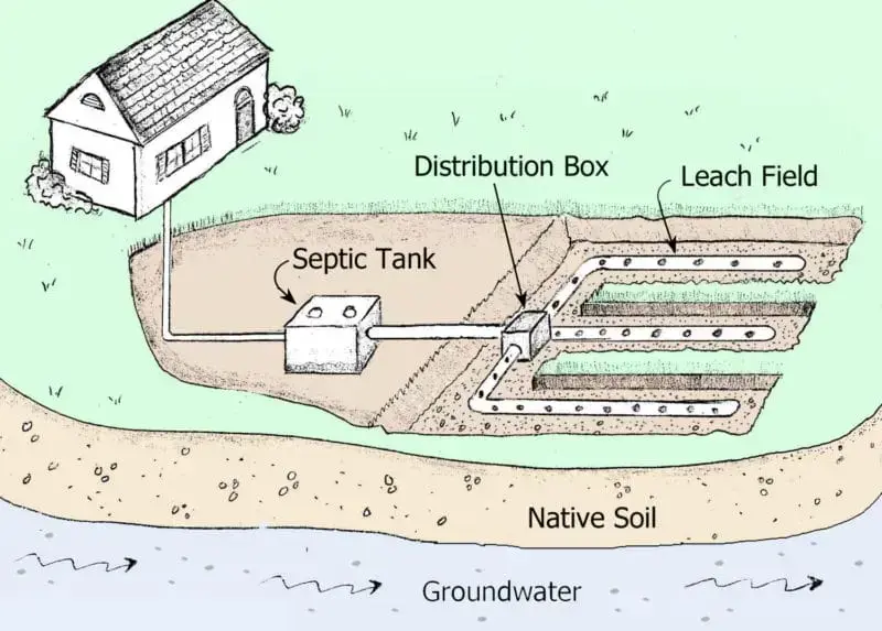 How a leach drainworks