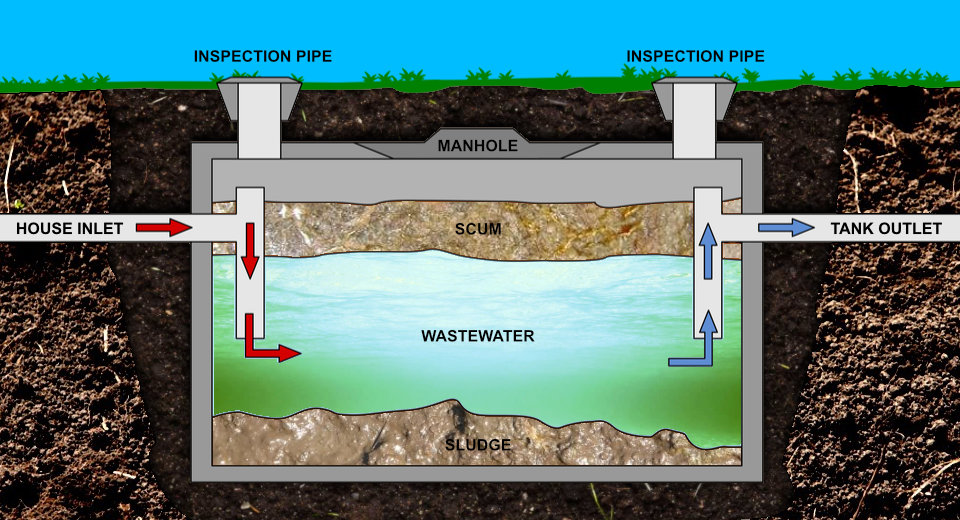 What breaks down sewage in a septic tank