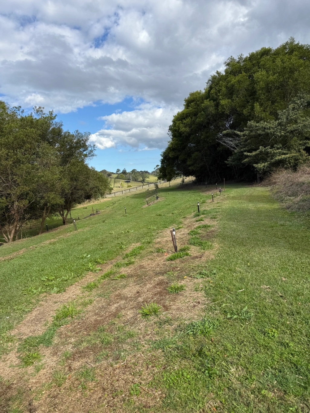 Land Application Area (LAA) Replacement – Fixed Surface Irrigation