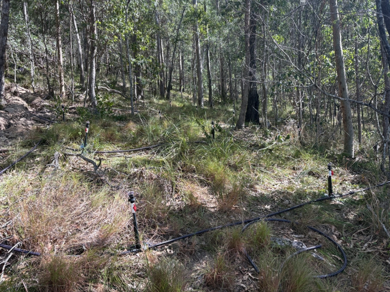 Challenging Septic Installation at Mt Nathan