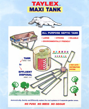 Maxi Tank Taylex