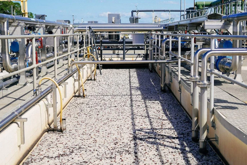 Anammox Superbug at the Luggage Point Facility | Express Wastewater