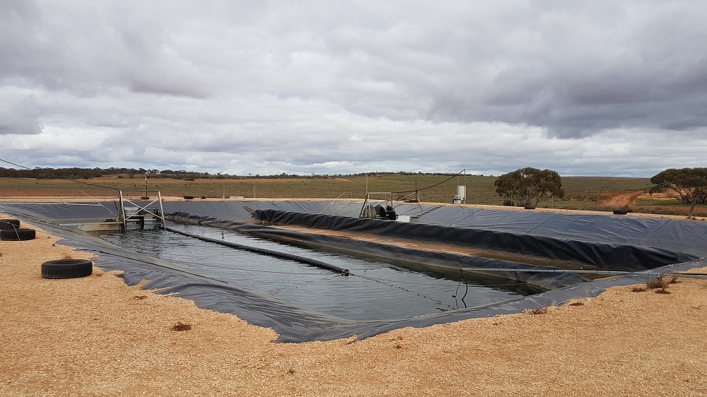 What are High Rate Algal Ponds?