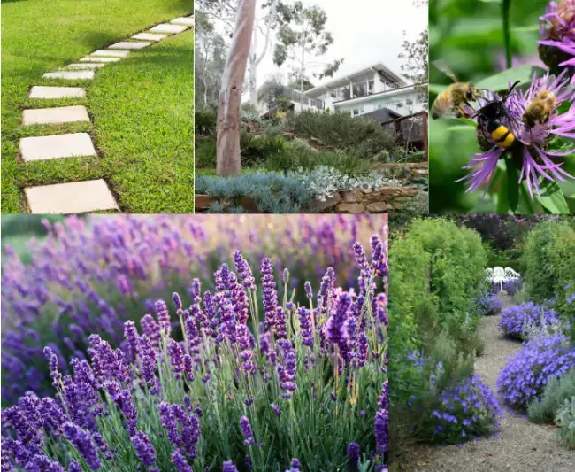 Garden Design Trends 2024