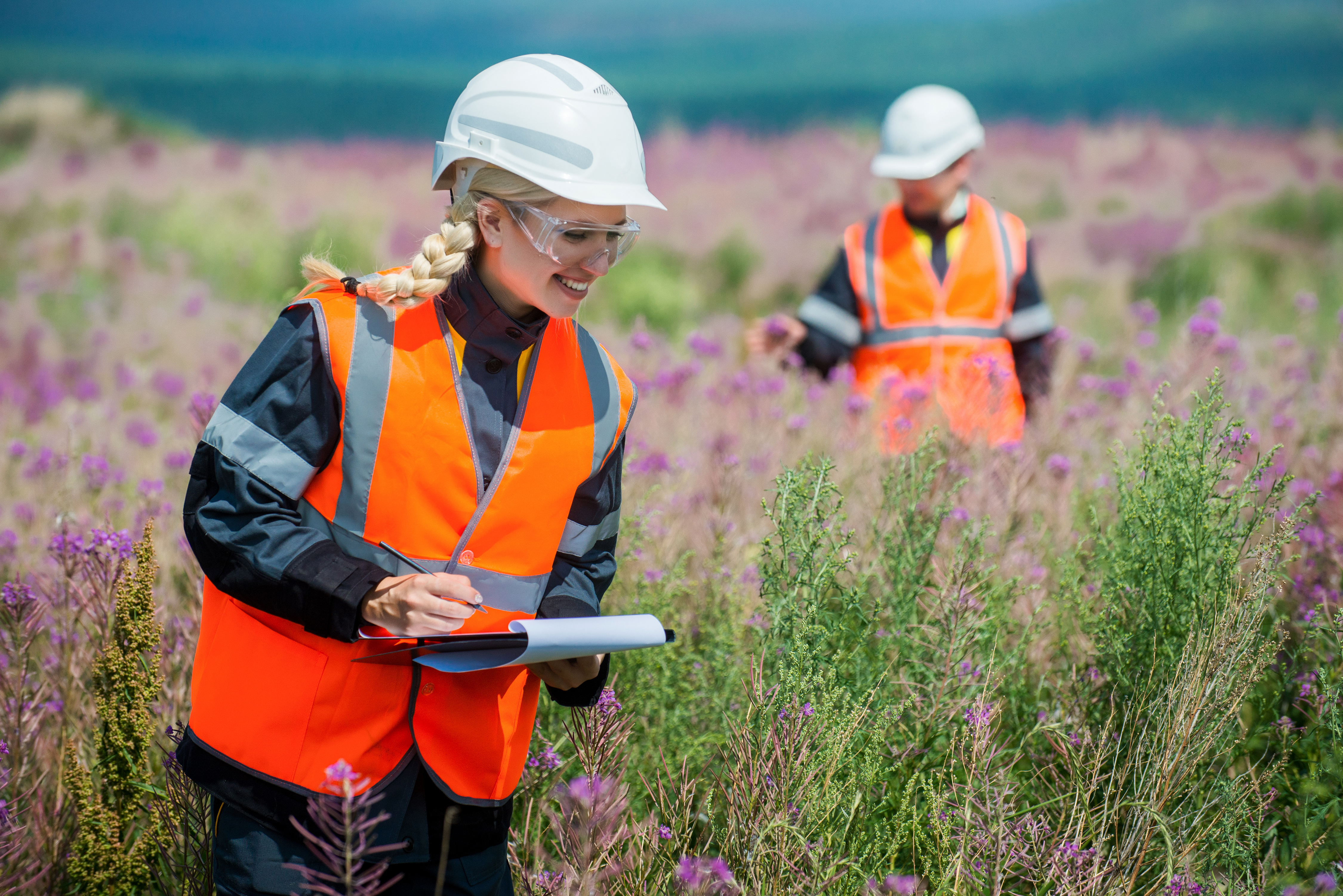 Environmental Consulting