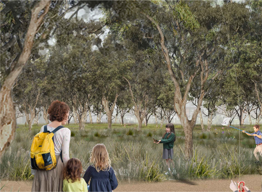 Melbourne Water: Reimagining Your Creekline