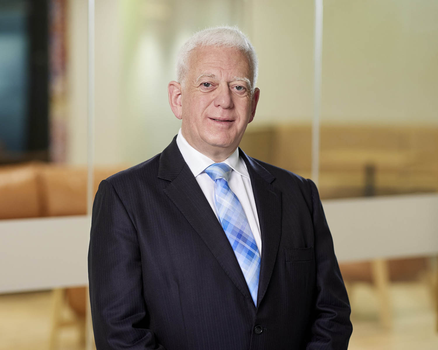David Shavin, LL.B(Hons), B.Ec: SC NSW 