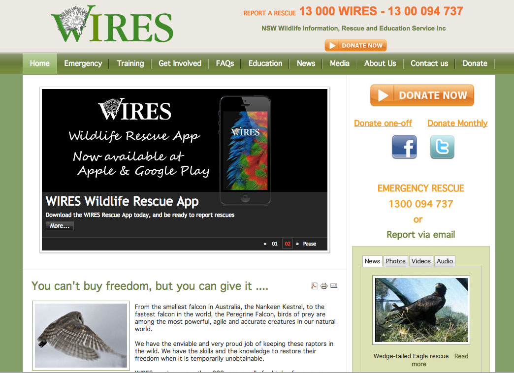 WIRES