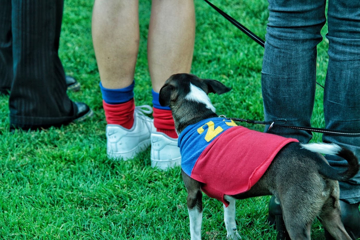 Pet Membership