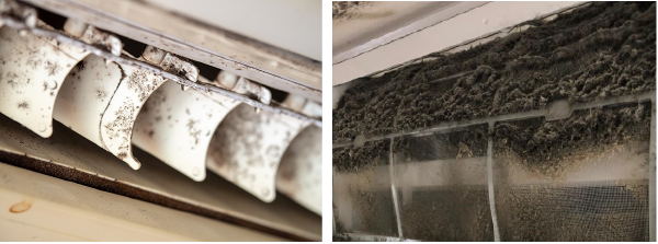 Keep your air conditioner mould-free this humid season