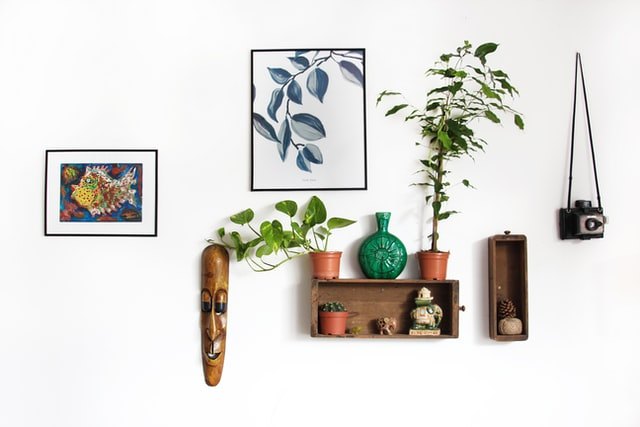 Pot plants on wall shelf with pictures
