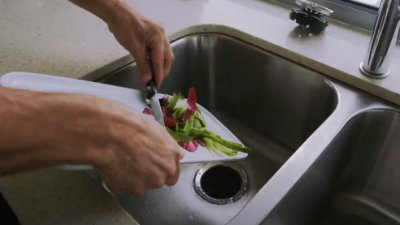 Insinkerator: Insink Garbage Disposal