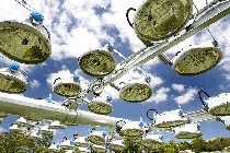 Track Lighting - Corbould Park Racecourse