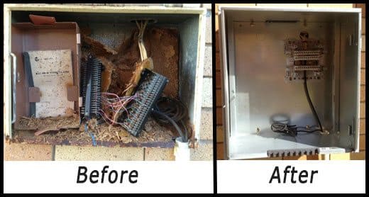 Data Distribution Box Upgrade
