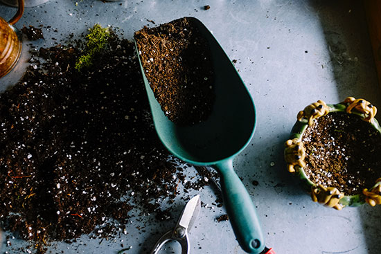 What Fertiliser Should I Use?