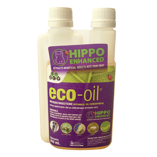 eco-oil Conc 250ml