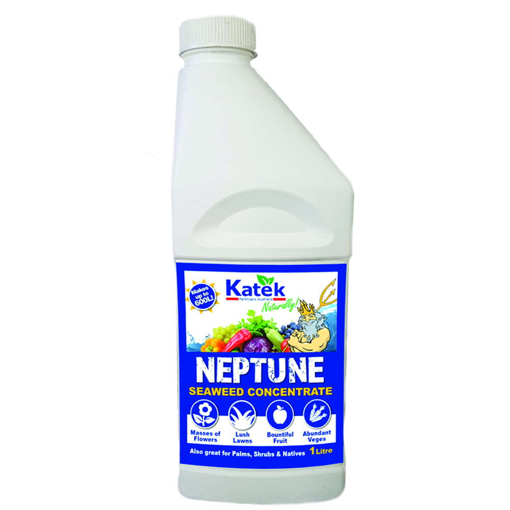Katek Neptune 1L