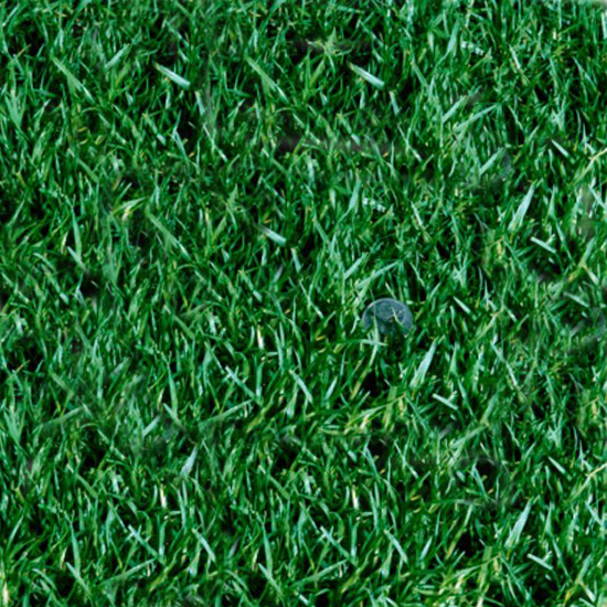 Kikuyu