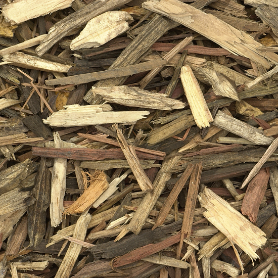 Forest Blend®