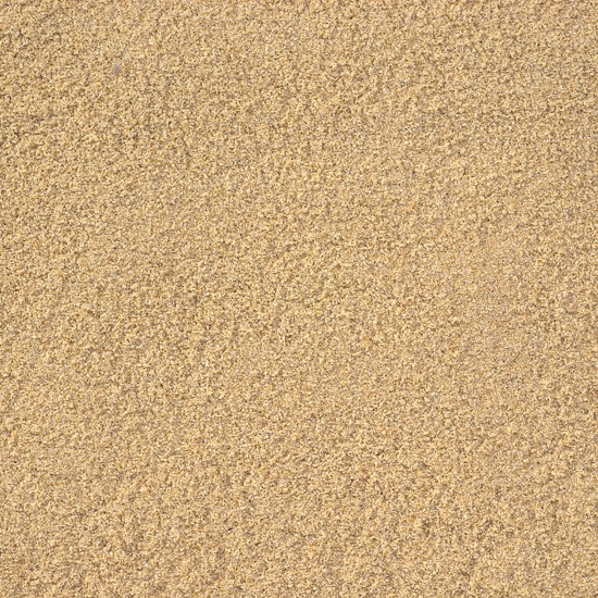 Sydney Sand