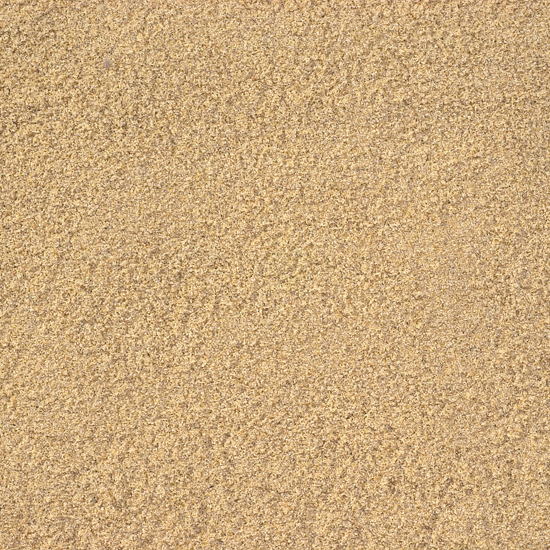 Sydney Sand