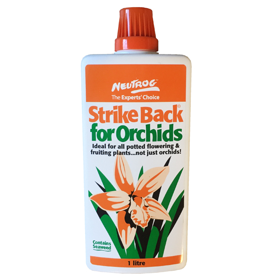 Strike Back for Orchids 1L