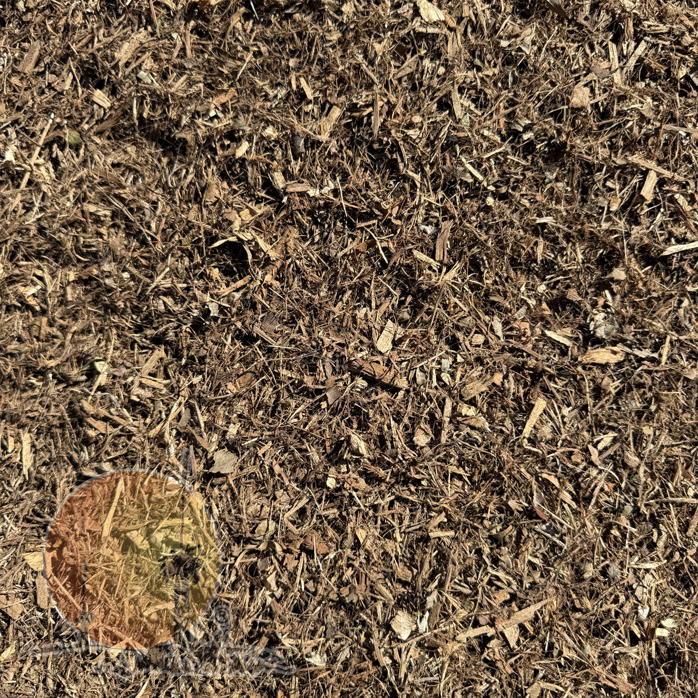 Forest Fines®