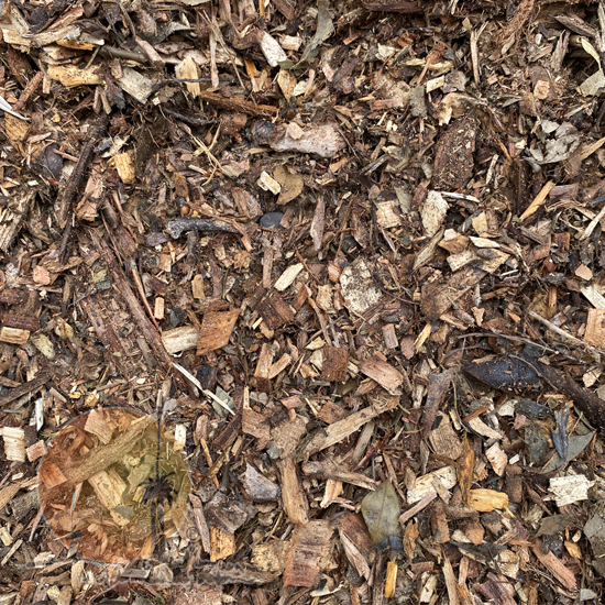 Leaf Mulch