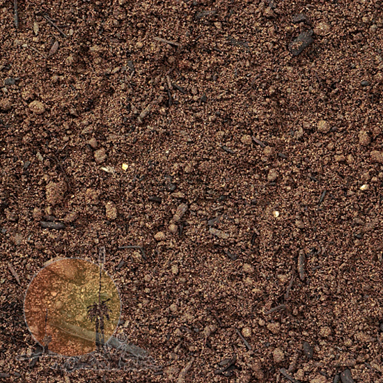 Complete Vegetable and Seedling Mix