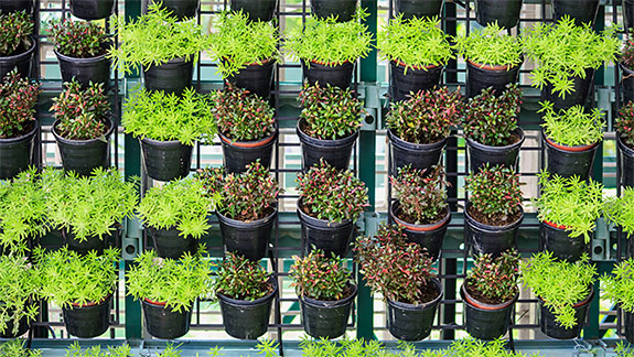 Vertical Gardens: Introducing the Gro-Wall® Series