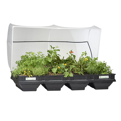 Vegepod Large