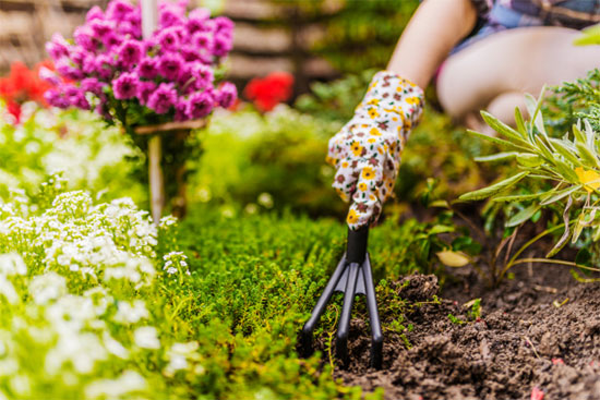 The Secret to a Flourishing Spring Garden with ANL's Soil Mixes