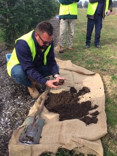 Compost – Benefits & Value