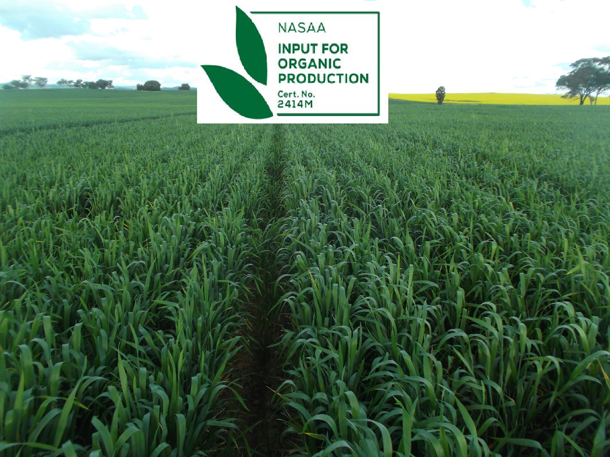 Certified Organic Inputs