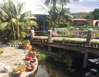 Terrey Hills - Garden Centre